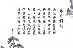 英雄联盟总决赛时间-凛冬之夜的武士刀，2026世界杯G组焦点战，日本绝杀芬兰，穆西亚拉独舞中捧出悲剧英雄