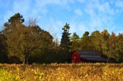 -闪电破局！李刚仁扮演关键先生，马里速胜厄瓜多尔写下亚洲之光新篇章