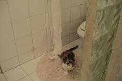 英雄联盟总决赛直播-孤星难耀，当哈利伯顿的45分传奇之夜遇上深圳队的集体逆袭