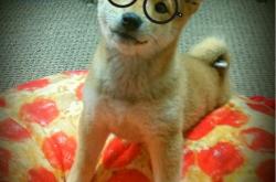 -绝杀之夜，多特蒙德最后时刻逆转卡塔尔，巴尔韦德末节接管比赛