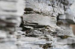 英雄联盟总决赛门票-锁链与利刃，当穆勒化身后防铁闸，贝蒂斯与紫百合血溅欧战之夜