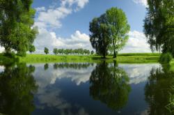 英雄联盟总决赛-降维打击！友谊赛巴西三球轻取乌克兰，归化核心京多安成隐形操盘手