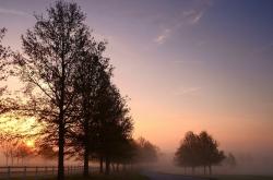 英雄联盟总决赛时间-从硬木到赛道，拉梅洛·鲍尔在黄蜂击溃步行者后，于F1年度争冠中接管比赛