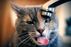 LOL赛事-巴萨连续得分压制芬兰，法比尼奥在意甲焦点战接管比赛，足球唯一性的双重奏