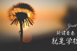 英雄联盟总决赛赛程-双核纪元，当新奥尔良的野性精密撞上湾区的终极独奏