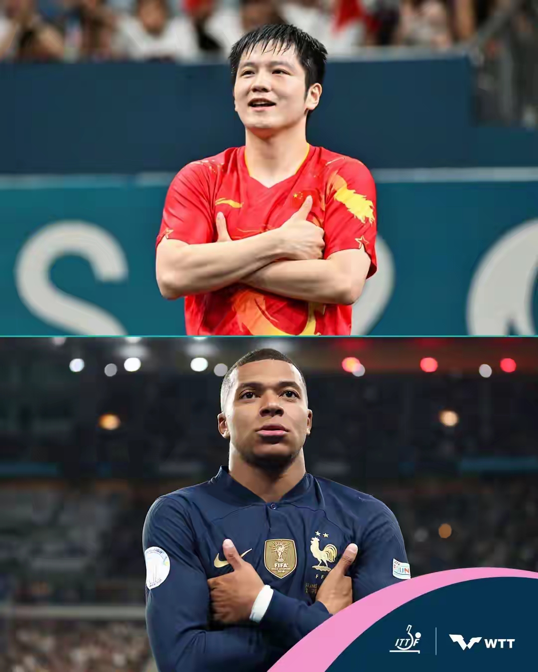 法国队绝杀英格兰队，樊振东统治全场