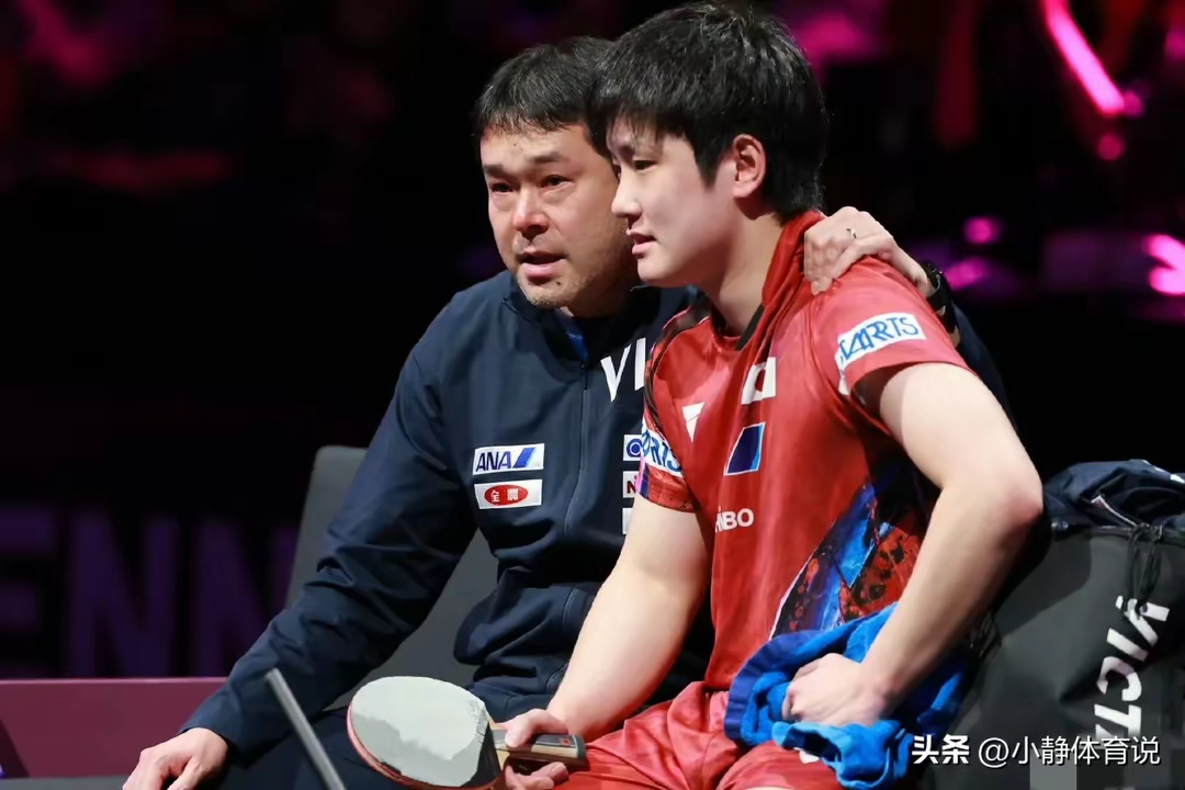 波兰队力克葡萄牙队，张本智和扛起全队