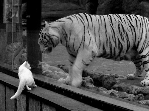 他定义了奥运关键战的标准，那一夜，孔德攻防两端的统治