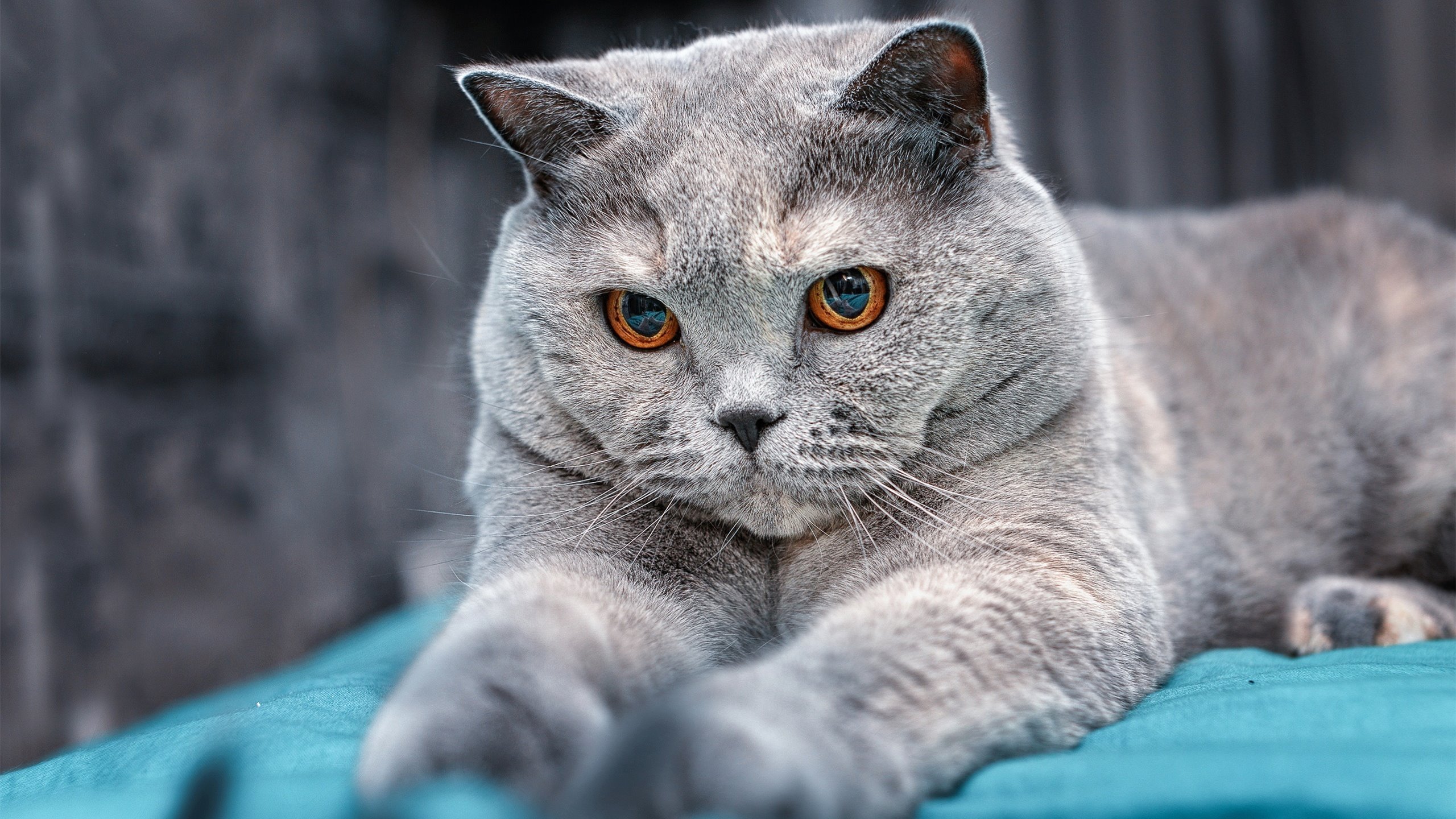 唯一与孤勇，荣耀、悲壮，与一道无解的数学题