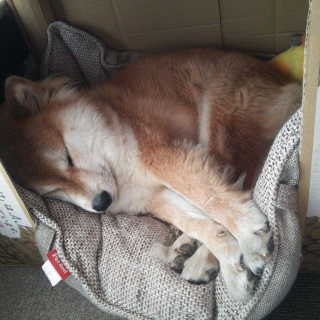 唯一与孤勇，荣耀、悲壮，与一道无解的数学题