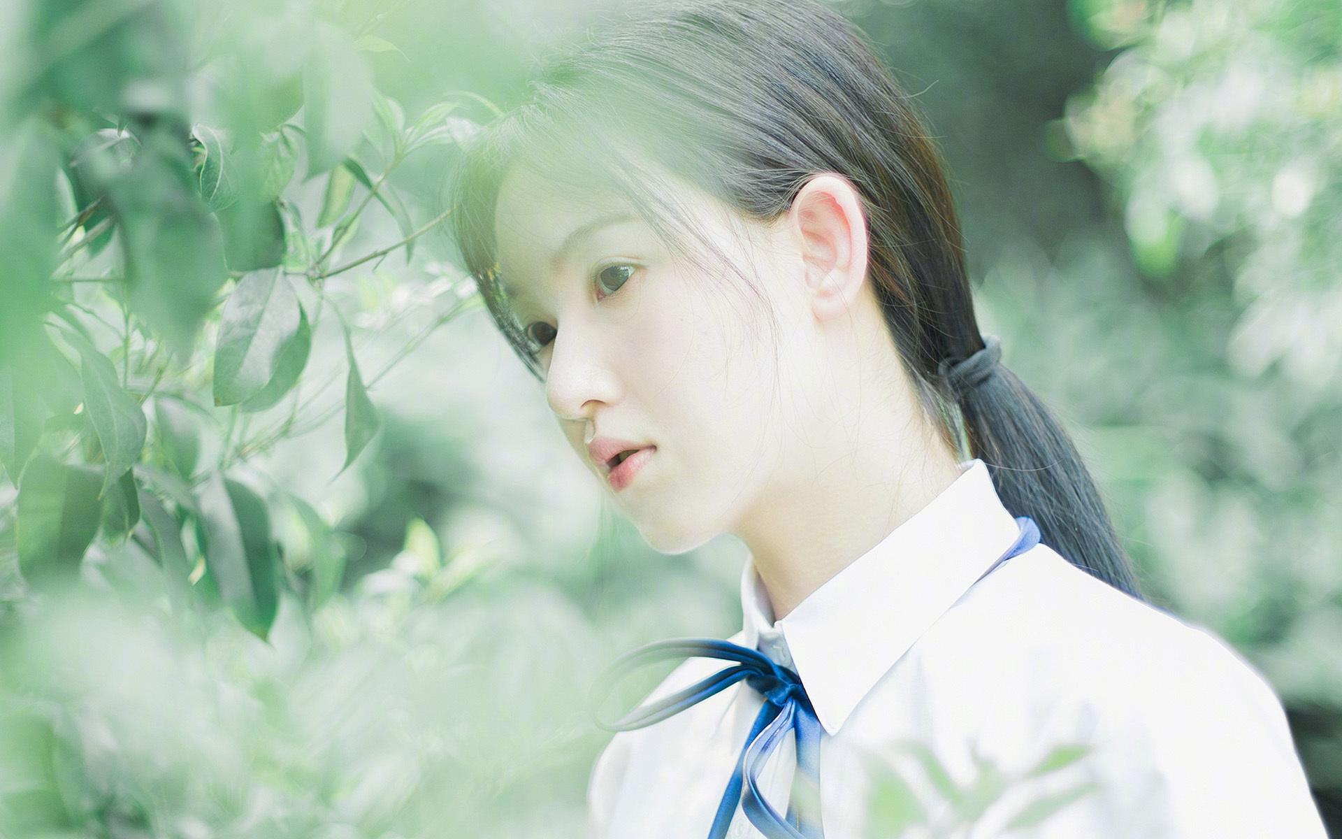 文班亚马构筑禁飞区，深圳队惊天爆冷完胜芝加哥公牛