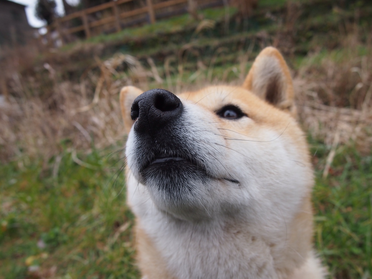 风暴眼的宁静,凯塞多的无声教材
