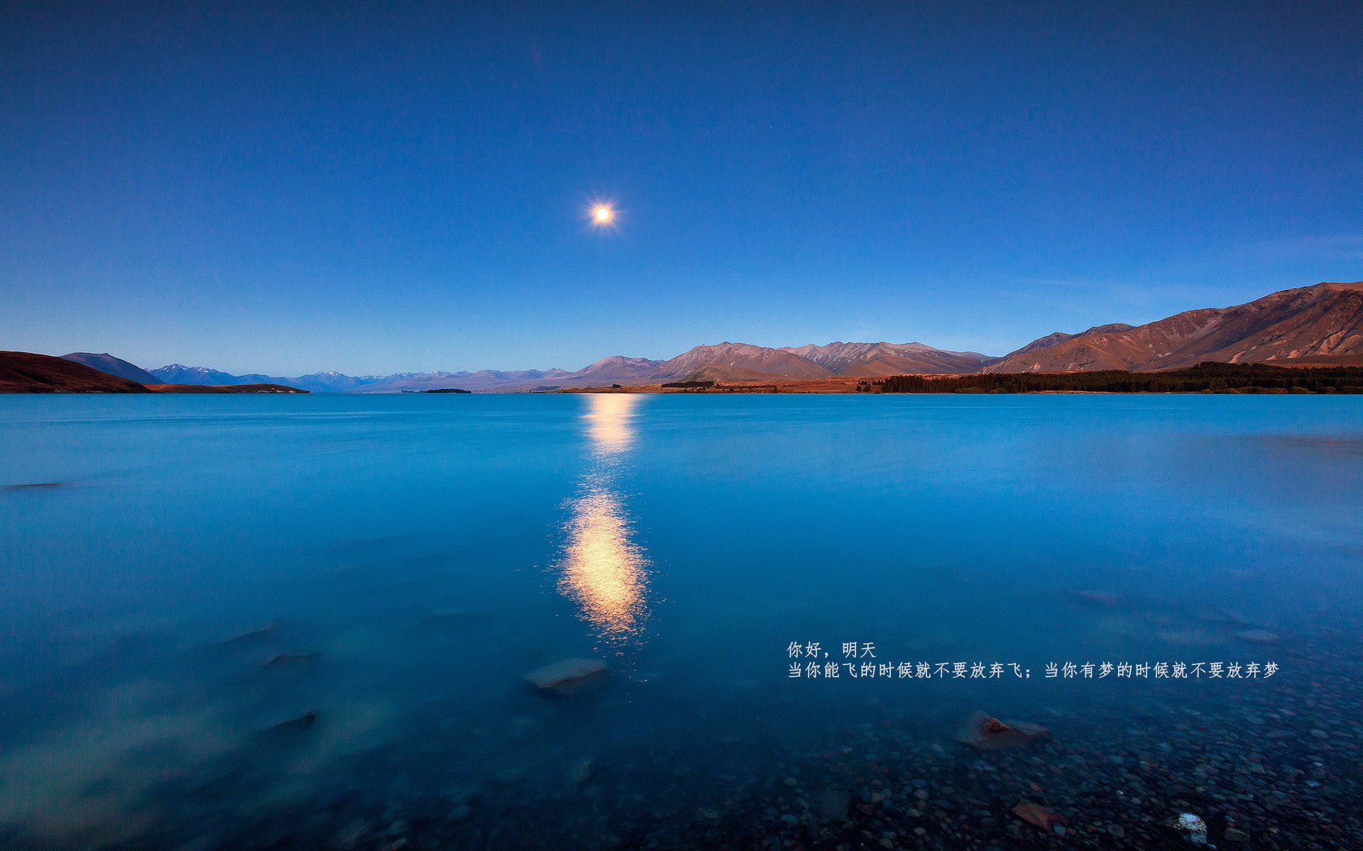 黑色指挥家，在无声处谱写的意甲节奏革命