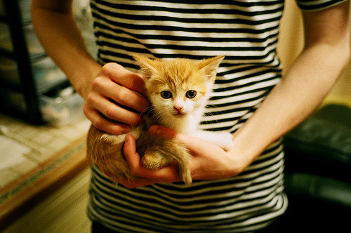 当斯坦福桥迎来安第斯雄鹰，切尔西掀翻玻利维亚背后的足球新寓言