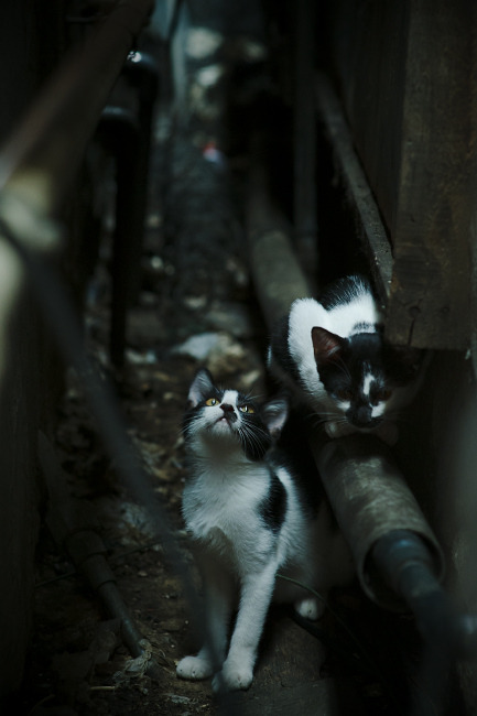 跨界交锋，一场足球赛如何让斯通斯完成破碎与重塑的救赎之旅