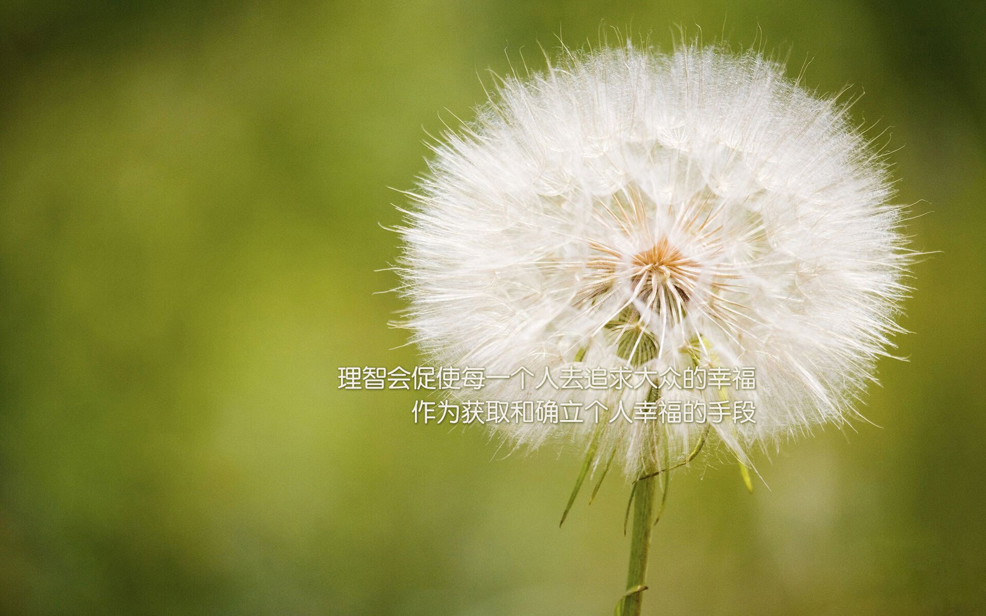 足球双响炮，劳塔罗爆发闪耀意甲，摩纳哥强势晋级土耳其客场