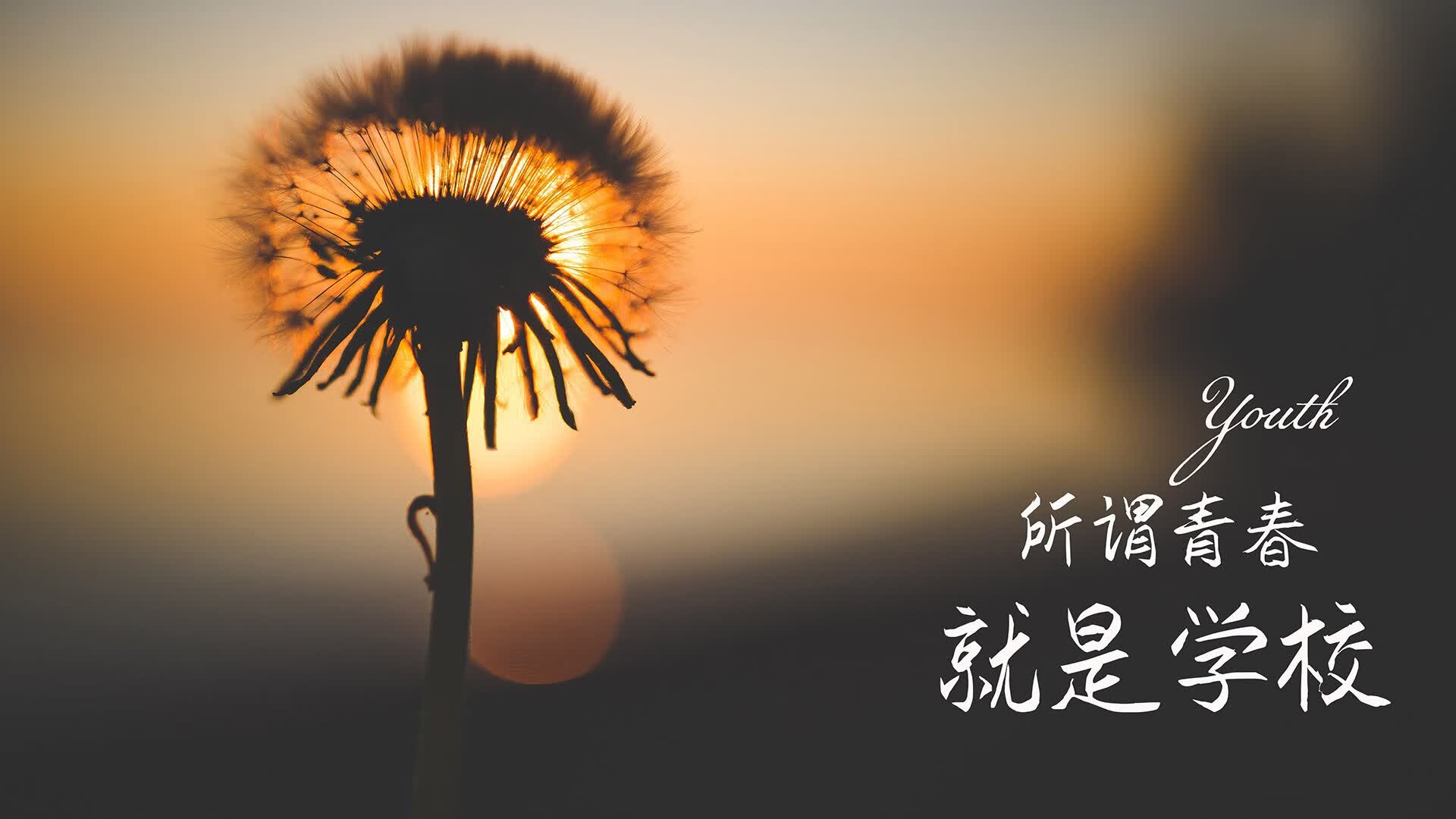 双核纪元,当新奥尔良的野性精密撞上湾区的终极独奏