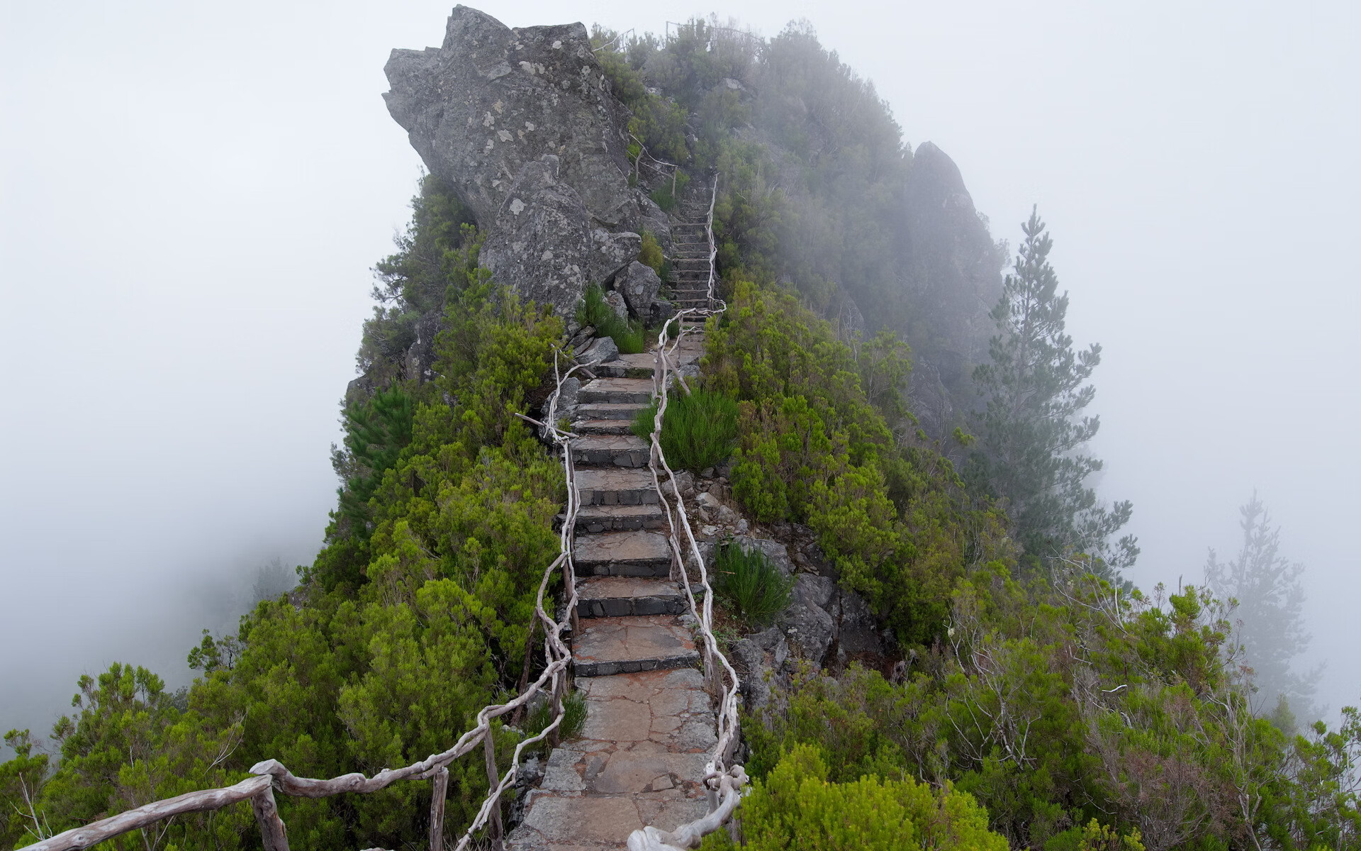 纽约暗夜惊雷,杰伦格林一剑封喉,尼克斯绝境突围鹈鹕