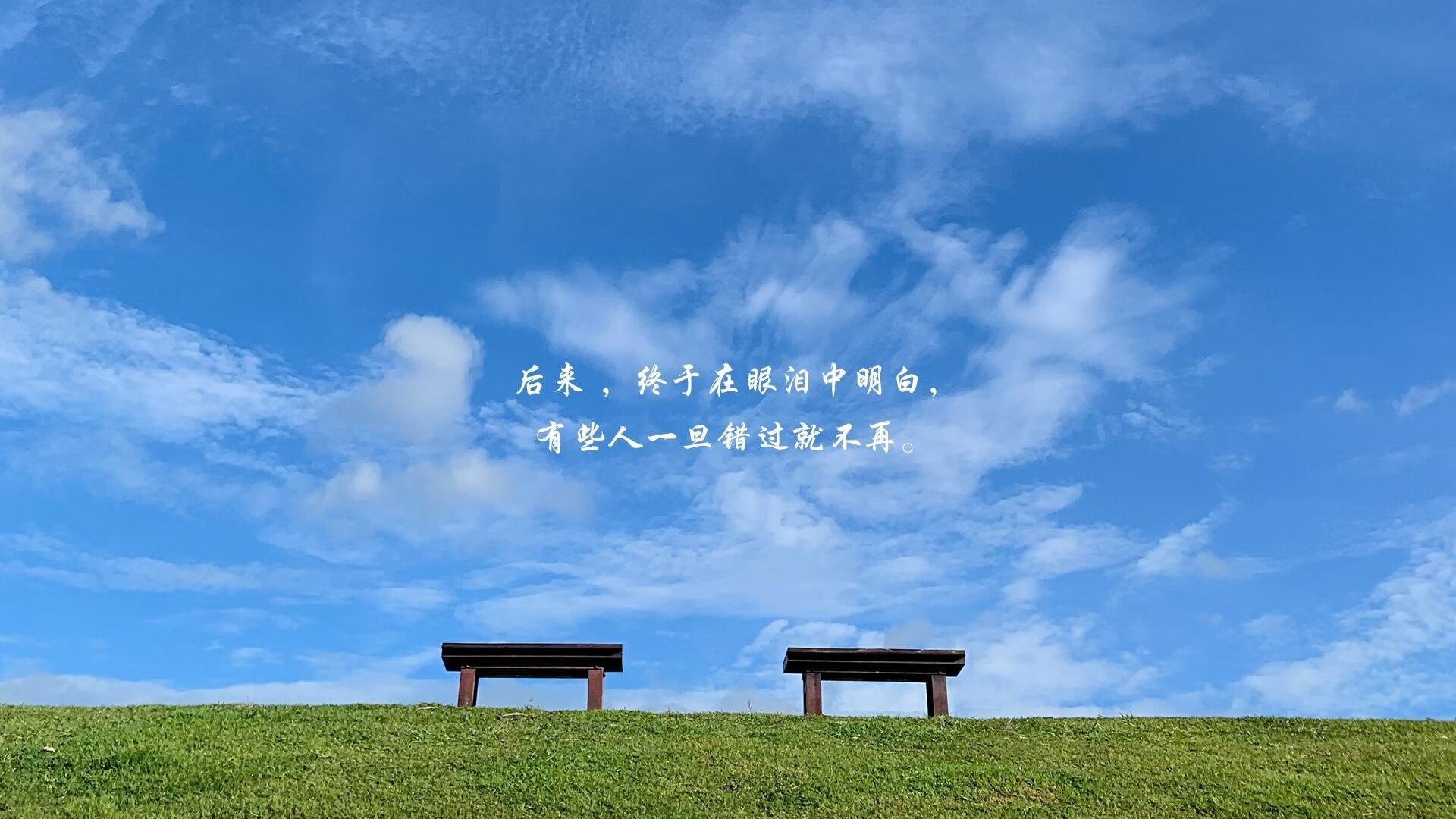 碾压与惊艳,2026世界杯B组,巴西的统治力与努涅斯的孤星闪耀