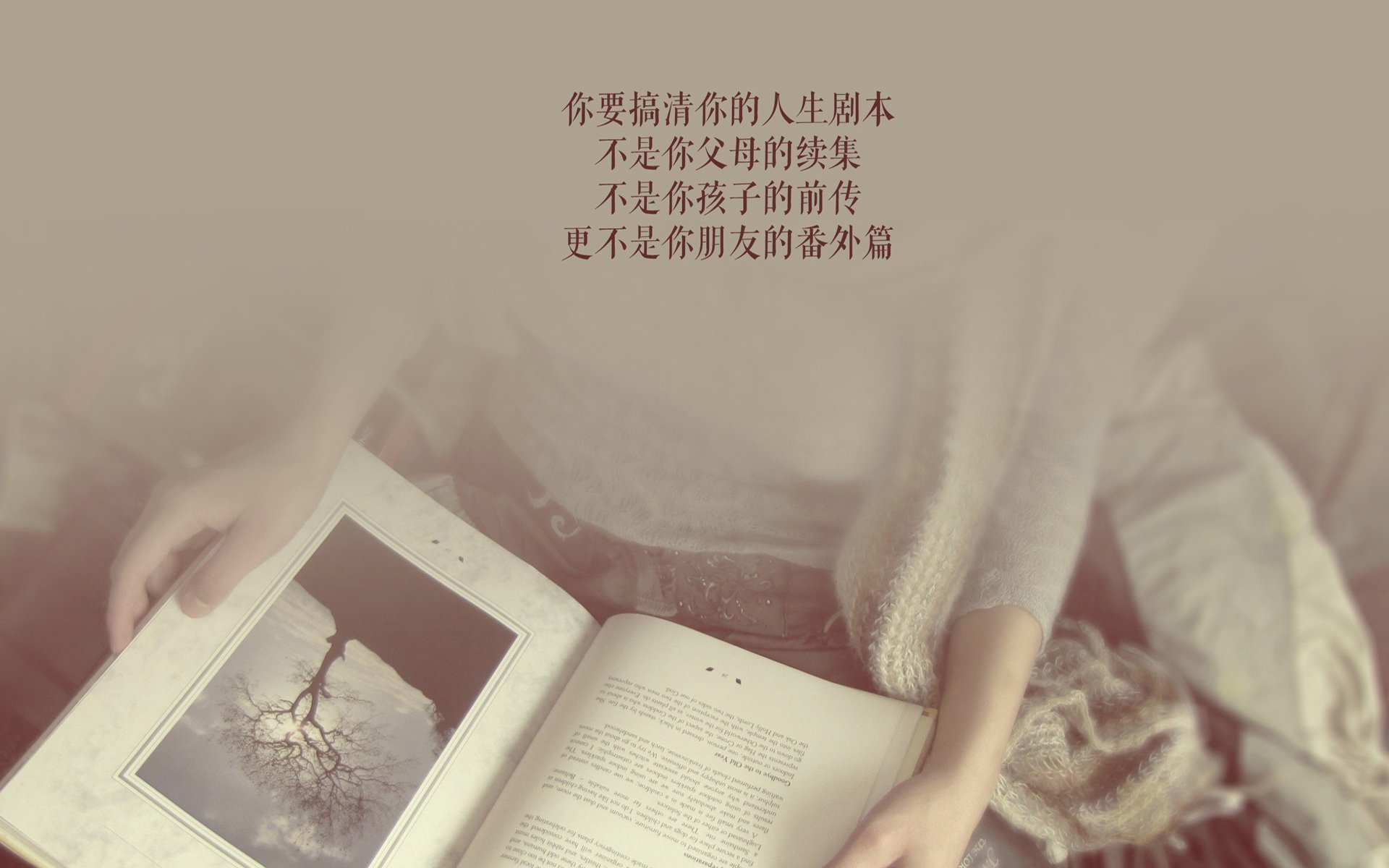 铁血蓝魂—2026世界杯C组战记,罗马尼亚完胜奥地利,托纳利用钢铁意志定义唯一