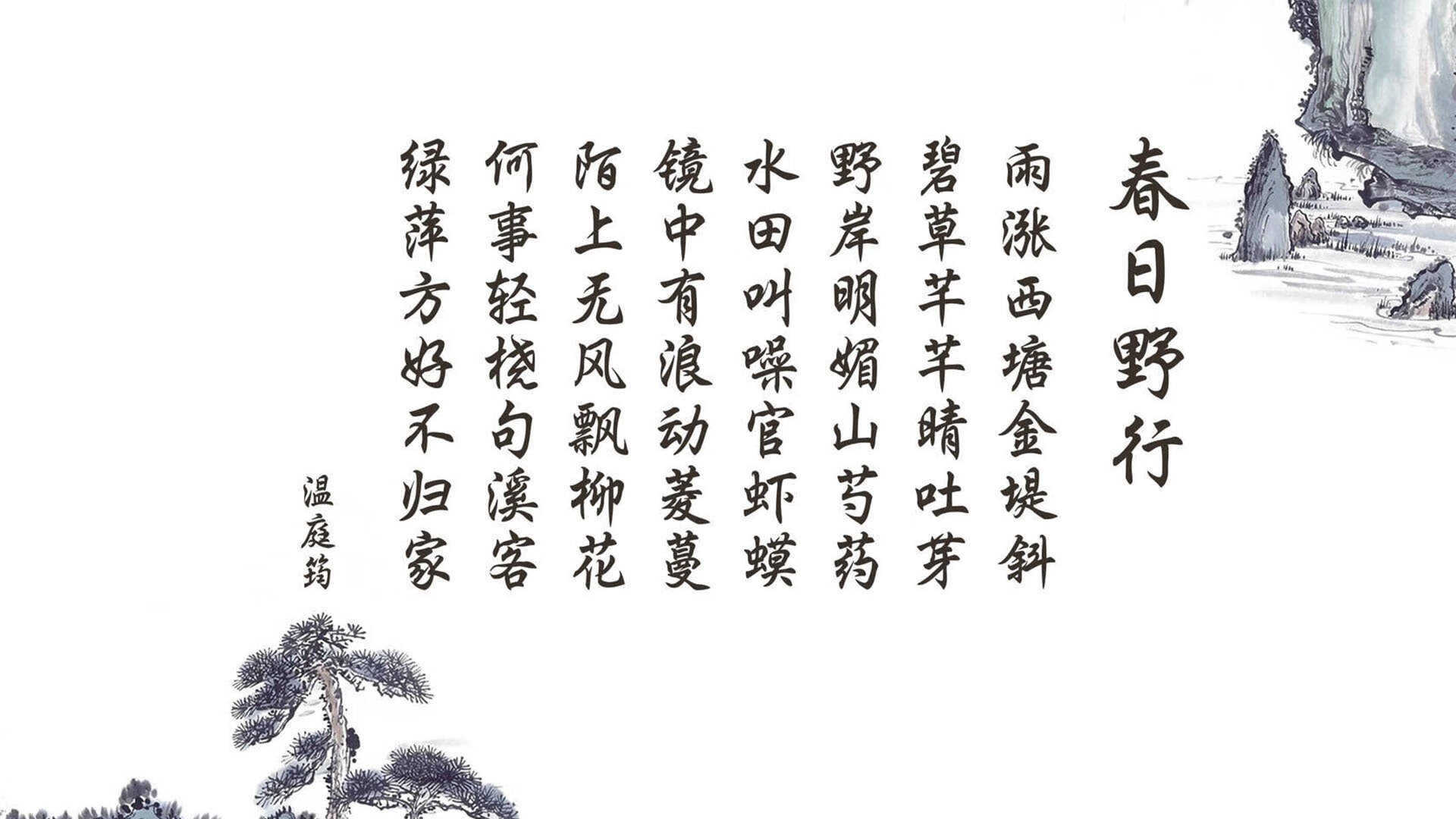节奏之王的独白,2026世界杯,凯恩与斯洛伐克的完胜密码