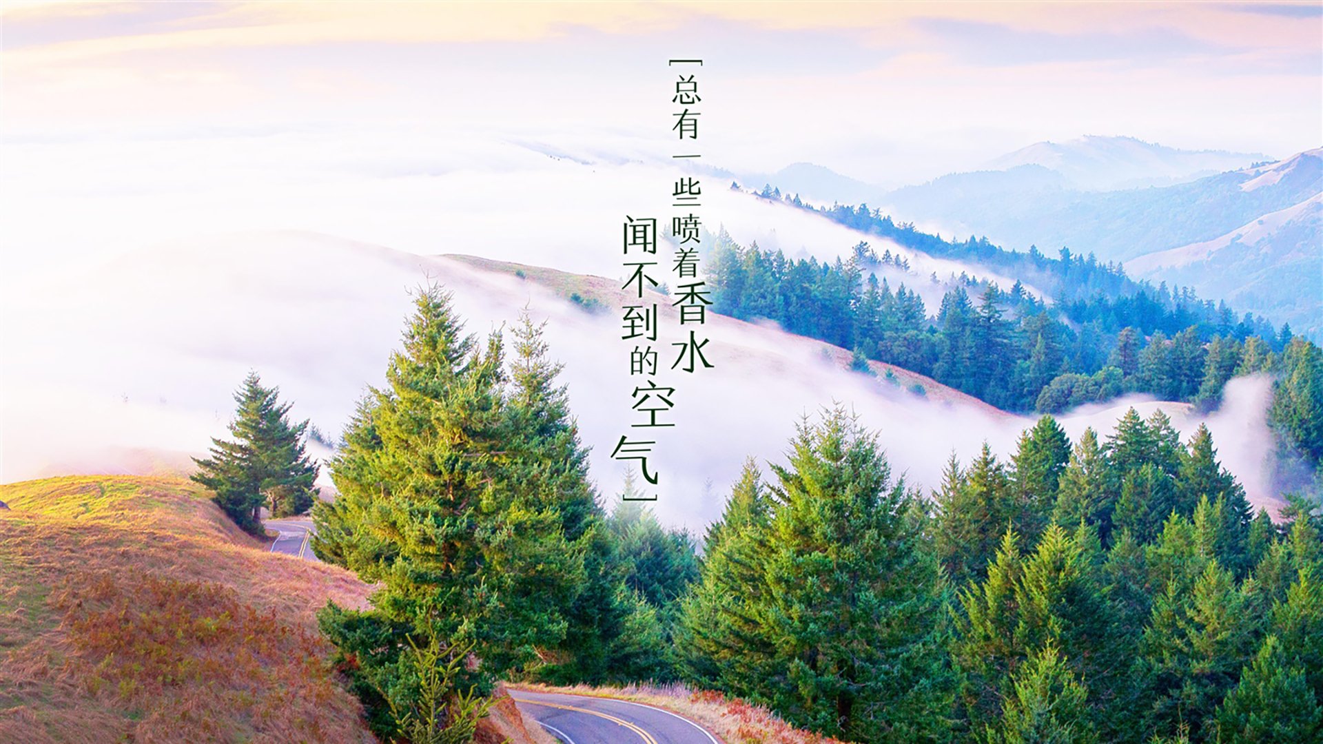 2026世界杯B组焦点战，泰国完胜意大利，坎塞洛一己之力颠覆足坛秩序