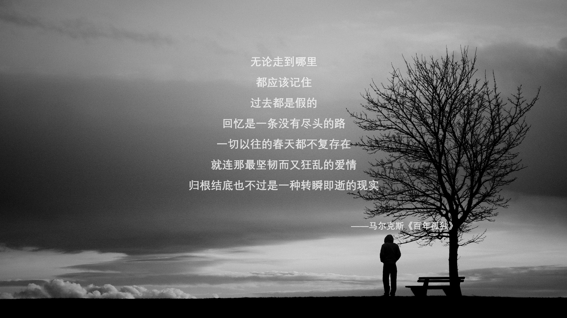 里斯本之夜,新王加冕—2026世界杯H组生死战,葡萄牙钢铁防线击碎印度神话,凯恩领衔三狮军团提前出线